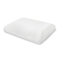 Sensorpedic on the go sales pillow